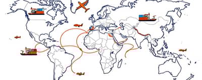 La Ruta Global: Guía para Exportar e Importar con Confianza