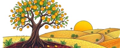 El Arte de la Persistencia: Invertir a Largo Plazo con Éxito